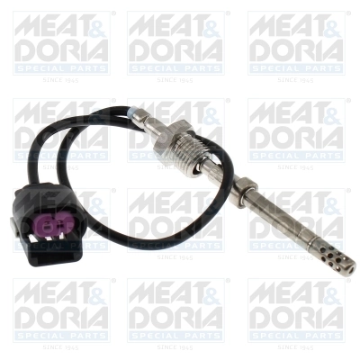 Sensor, exhaust gas temperature